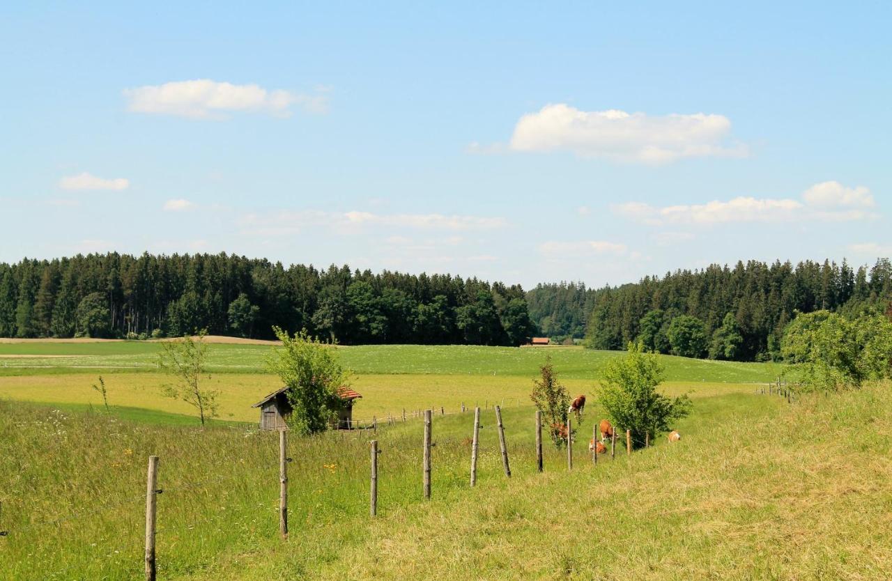 Ferienwohnung Poelzl Chieming Bagian luar foto