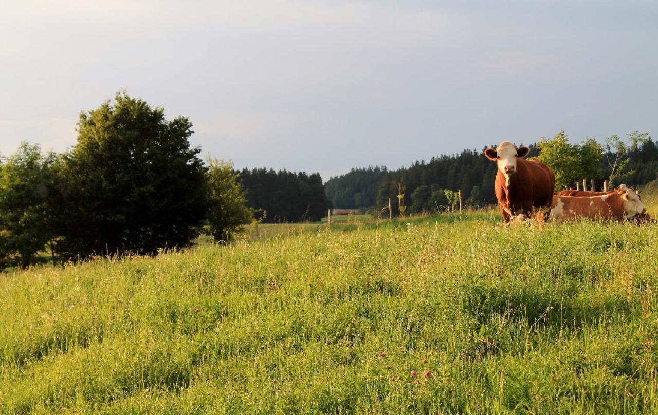 Ferienwohnung Poelzl Chieming Bagian luar foto